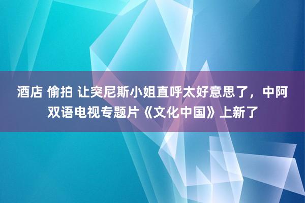 酒店 偷拍 让突尼斯小姐直呼太好意思了，中阿双语电视专题片《文化中国》上新了