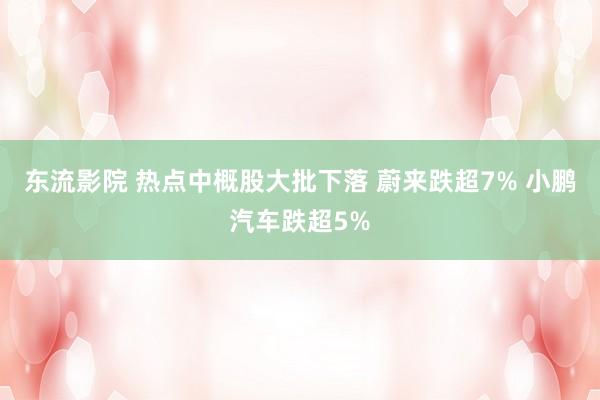 东流影院 热点中概股大批下落 蔚来跌超7% 小鹏汽车跌超5%