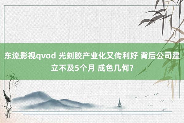东流影视qvod 光刻胶产业化又传利好 背后公司建立不及5个月 成色几何？