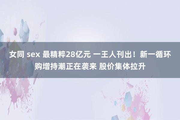 女同 sex 最精粹28亿元 一王人刊出！新一循环购增持潮正在袭来 股价集体拉升