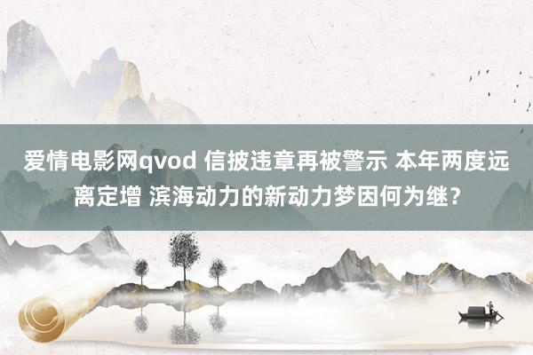 爱情电影网qvod 信披违章再被警示 本年两度远离定增 滨海动力的新动力梦因何为继？