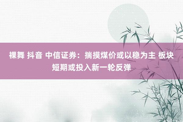 裸舞 抖音 中信证券：揣摸煤价或以稳为主 板块短期或投入新一轮反弹