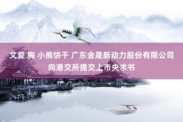 文爱 胸 小熊饼干 广东金晟新动力股份有限公司向港交所提交上市央求书